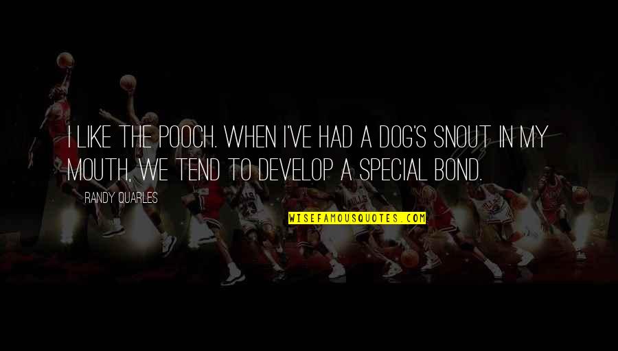 Some Special Bond Quotes By Randy Quarles: I like the pooch. When I've had a
