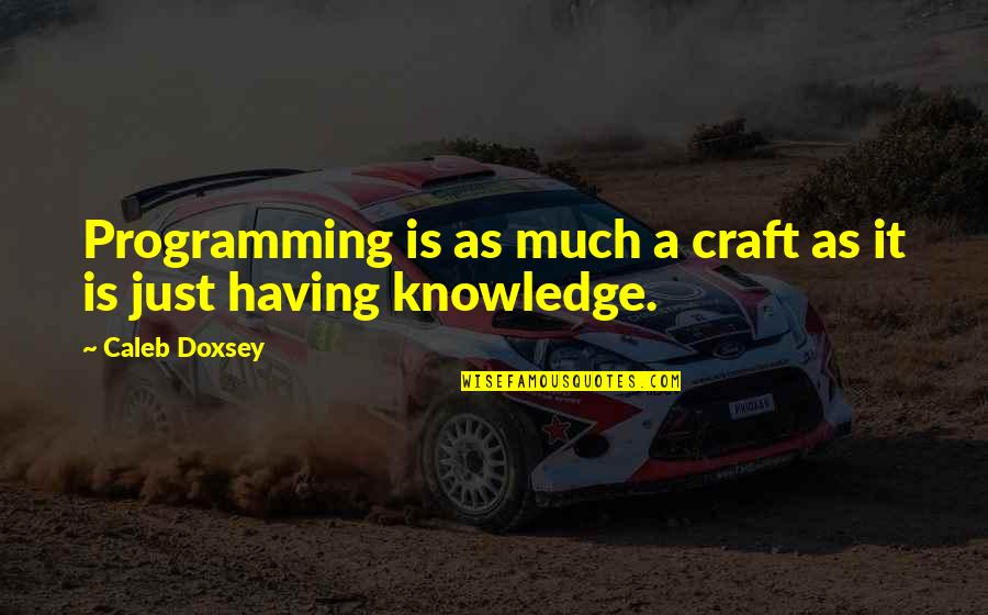Some Things Are Not Meant To Be Understood Quotes By Caleb Doxsey: Programming is as much a craft as it