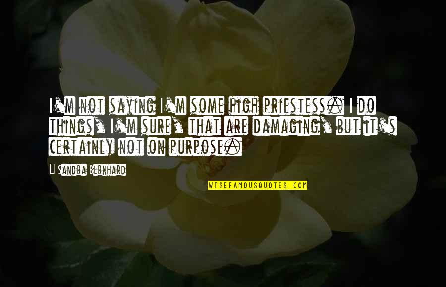 Some Things Are Quotes By Sandra Bernhard: I'm not saying I'm some high priestess. I