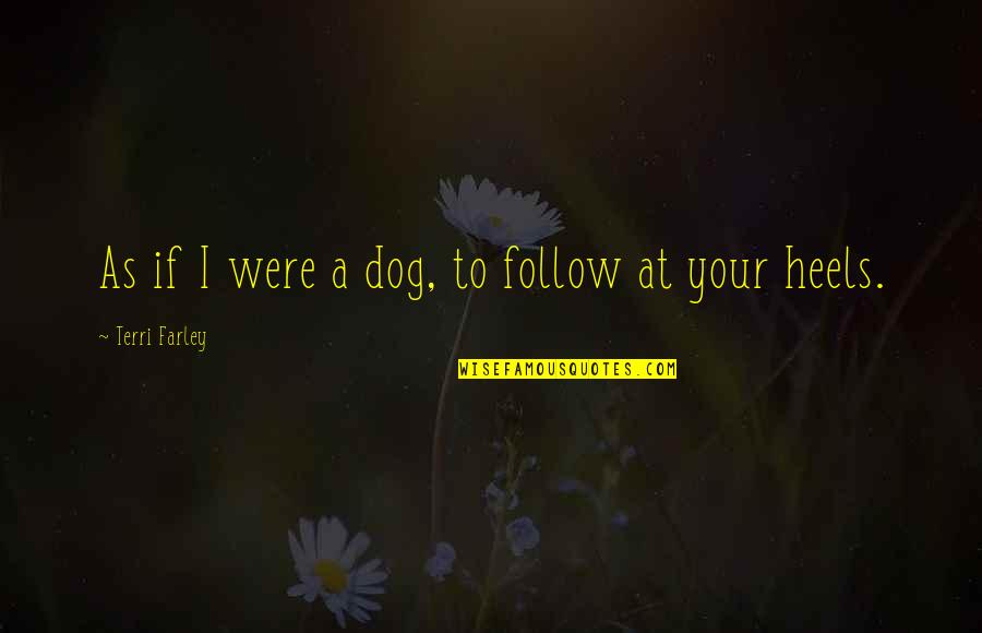 Someday You Will Realise Quotes By Terri Farley: As if I were a dog, to follow