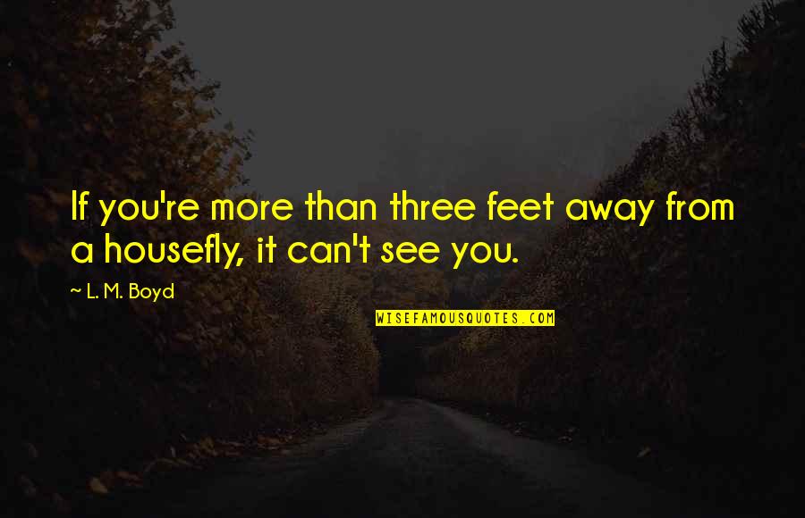 Someday You Will Realize What You Lost Quotes By L. M. Boyd: If you're more than three feet away from