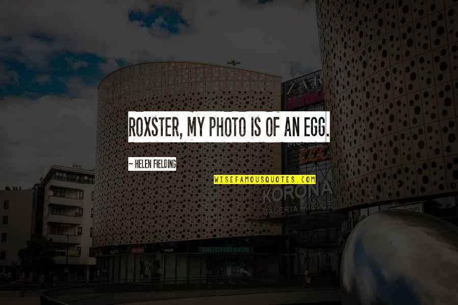 Someone After Surgery Quotes By Helen Fielding: Roxster, my photo is of an egg.