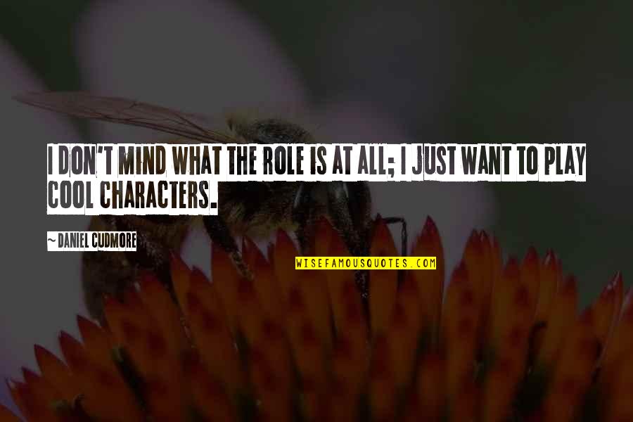 Someone Else Will Love Me Quotes By Daniel Cudmore: I don't mind what the role is at