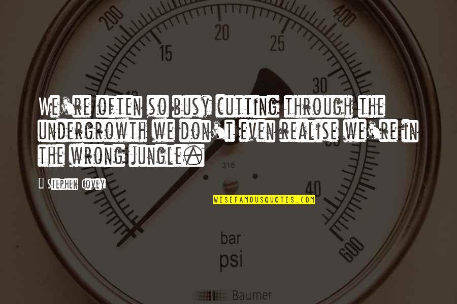 Someone Getting Your Hopes Up Quotes By Stephen Covey: We're often so busy cutting through the undergrowth