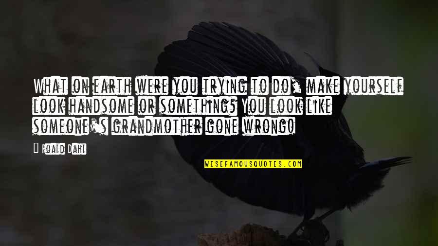 Someone Gone Too Soon Quotes By Roald Dahl: What on earth were you trying to do,