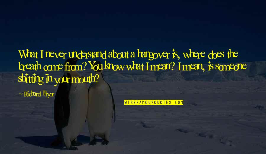 Someone I Know Quotes By Richard Pryor: What I never understand about a hangover is, Someone I Know Quotes By Richard Pryor: What I never understand about a hangover is,