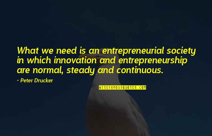 Someone Important Leaving Your Life Quotes By Peter Drucker: What we need is an entrepreneurial society in