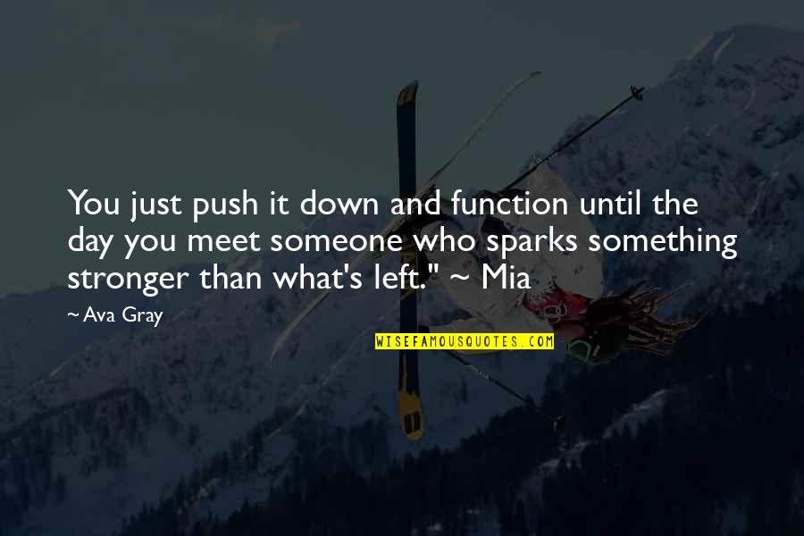 Someone Left You Quotes By Ava Gray: You just push it down and function until