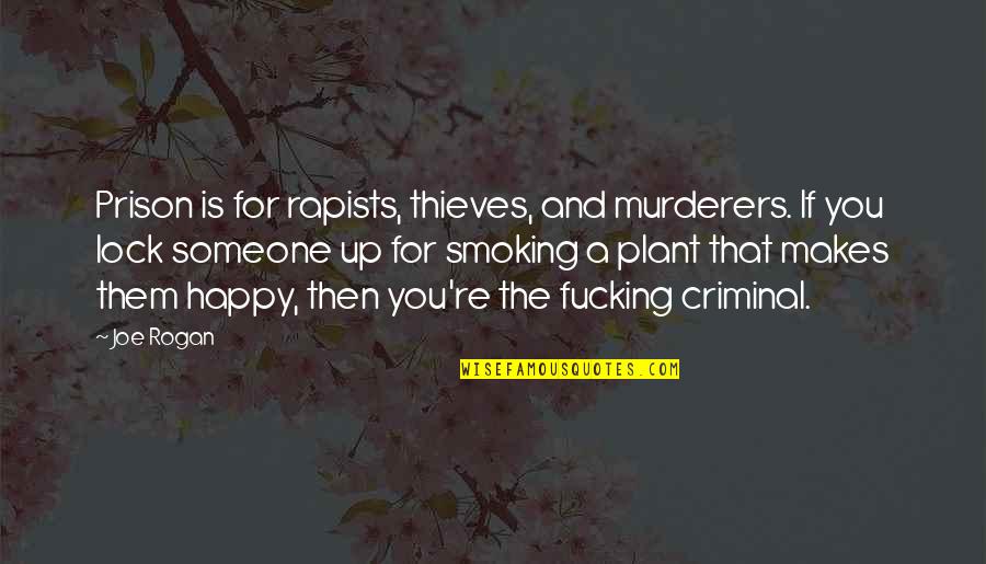 Someone Makes You Happy Quotes By Joe Rogan: Prison is for rapists, thieves, and murderers. If