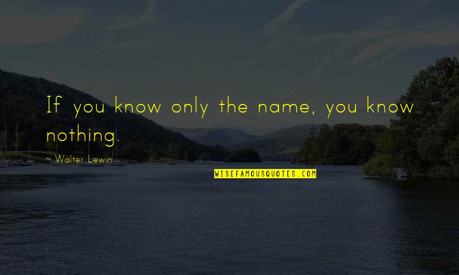 Someone Makes You Happy Quotes By Walter Lewin: If you know only the name, you know