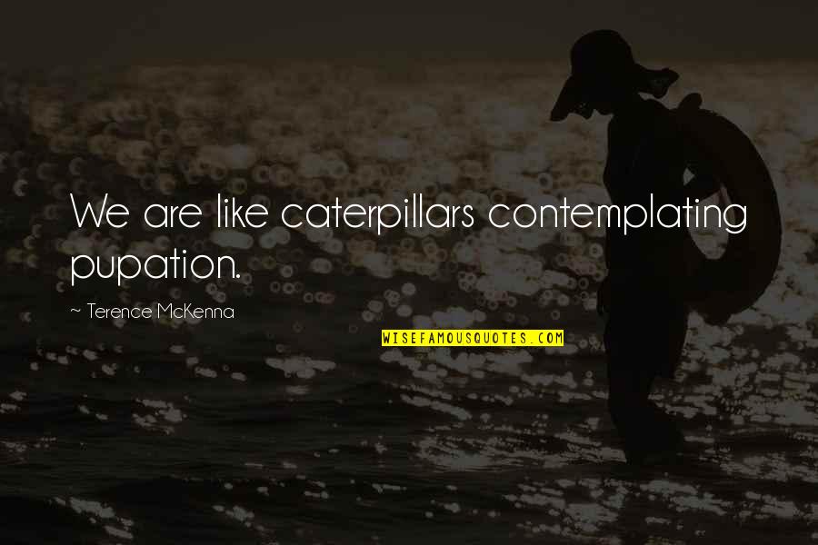 Someone Not Caring About Your Feelings Quotes By Terence McKenna: We are like caterpillars contemplating pupation.