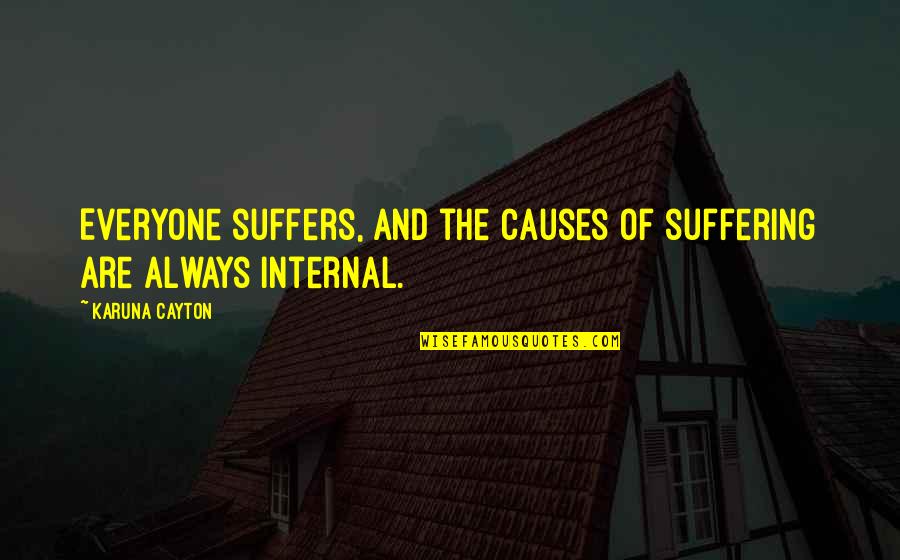 Someone Not Caring Back Quotes By Karuna Cayton: Everyone suffers, and the causes of suffering are