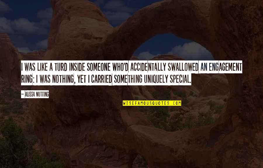 Someone Special Like You Quotes By Alissa Nutting: I was like a turd inside someone who'd