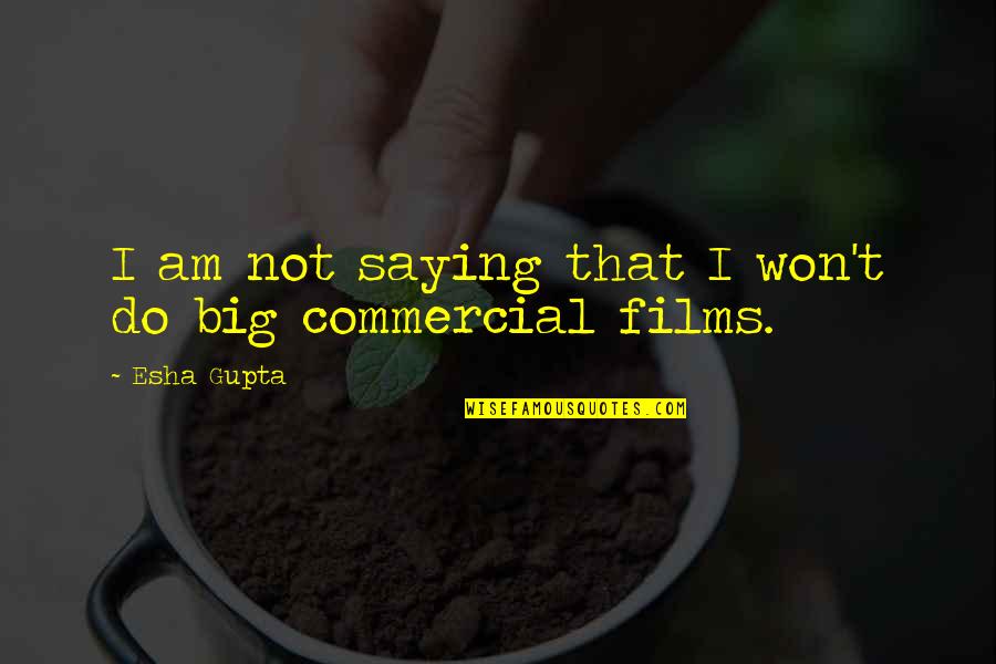 Someone Stealing Your Ideas Quotes By Esha Gupta: I am not saying that I won't do