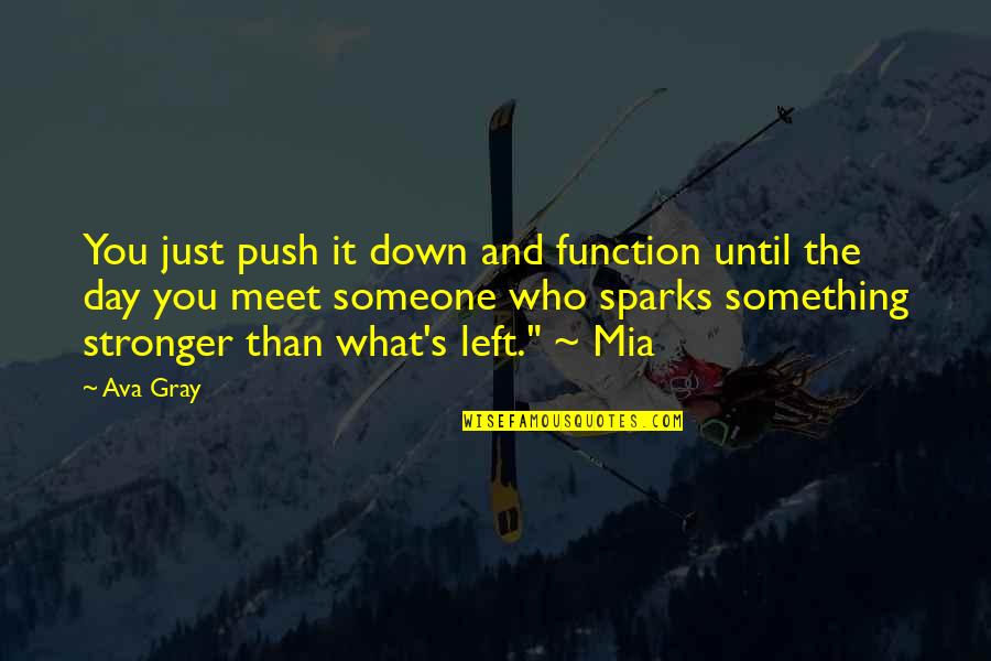 Someone That Left You Quotes By Ava Gray: You just push it down and function until