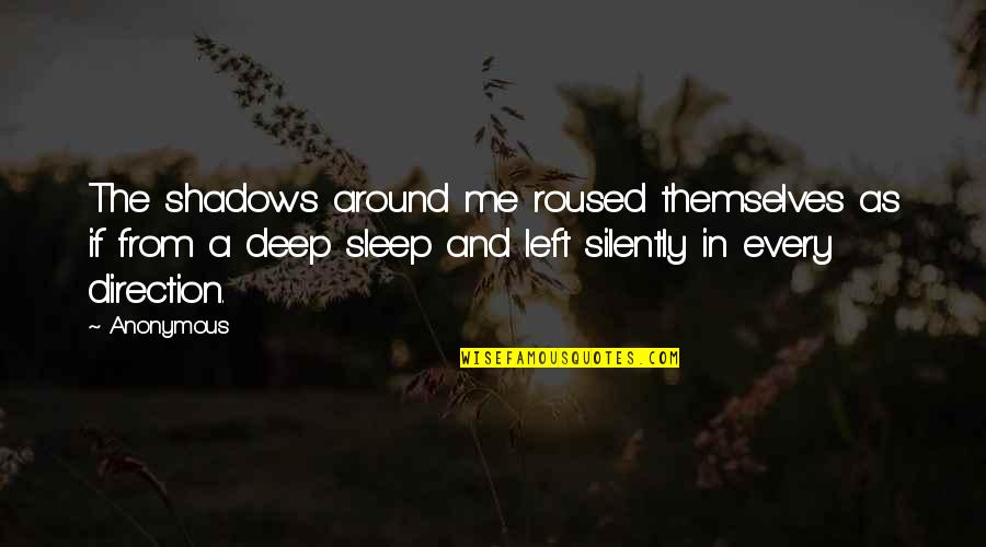 Someone Wake Me Up Quotes By Anonymous: The shadows around me roused themselves as if