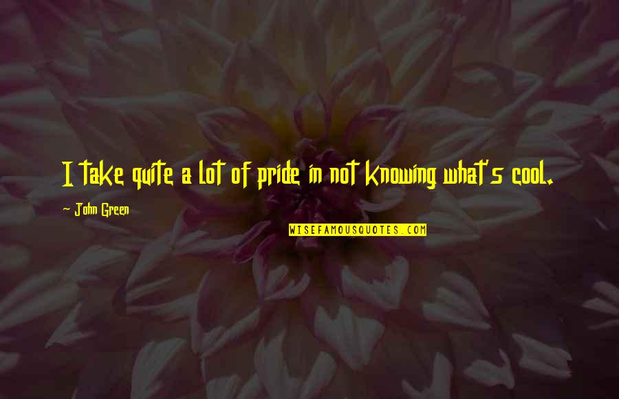 Someone Who Annoys You Quotes By John Green: I take quite a lot of pride in