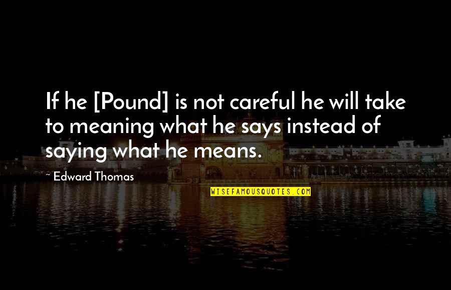 Someone Who Cares About Me Quotes By Edward Thomas: If he [Pound] is not careful he will