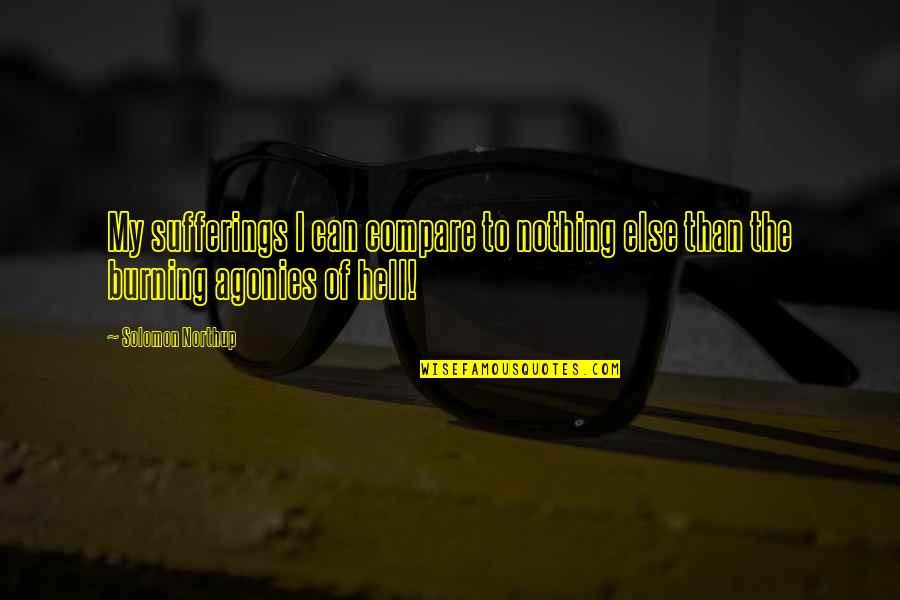 Someone Who Doesn Care Quotes By Solomon Northup: My sufferings I can compare to nothing else