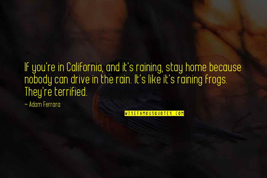 Someone Who Is Dying Quotes By Adam Ferrara: If you're in California, and it's raining, stay