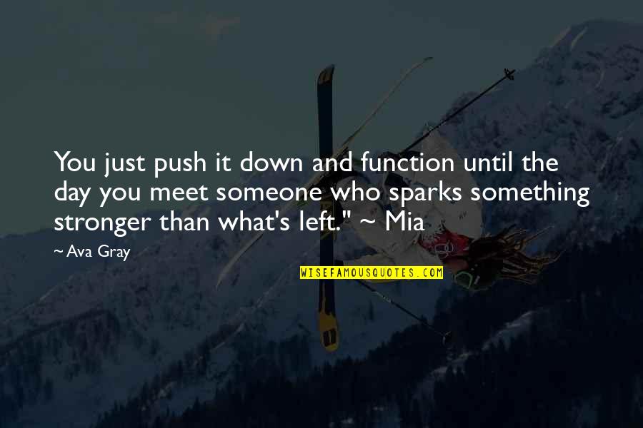 Someone Who Left You Quotes By Ava Gray: You just push it down and function until Someone Who Left You Quotes By Ava Gray: You just push it down and function until