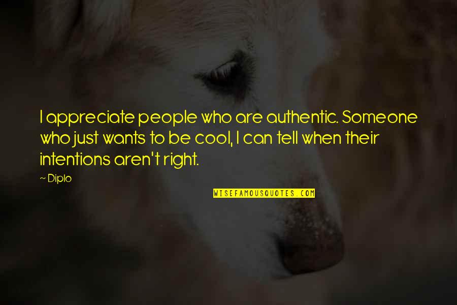 Someone You Appreciate Quotes By Diplo: I appreciate people who are authentic. Someone who