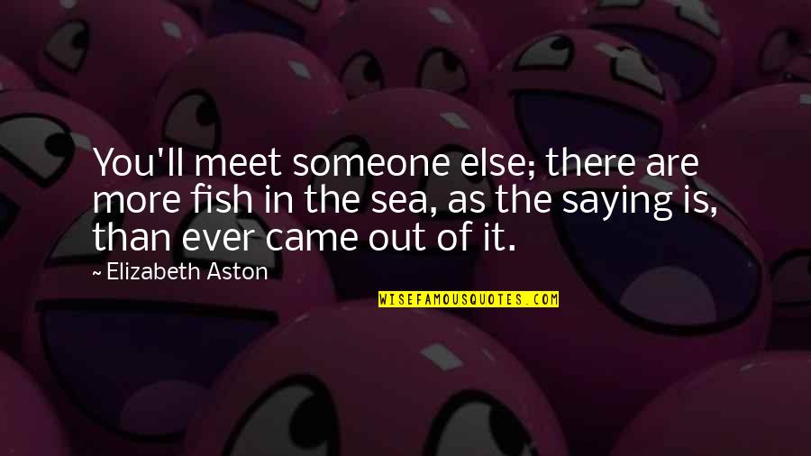 Someone You Meet Quotes By Elizabeth Aston: You'll meet someone else; there are more fish