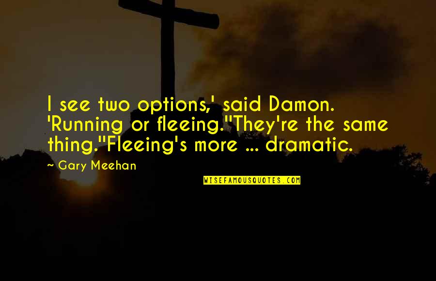 Somerled Macdonald Quotes By Gary Meehan: I see two options,' said Damon. 'Running or Somerled Macdonald Quotes By Gary Meehan: I see two options,' said Damon. 'Running or