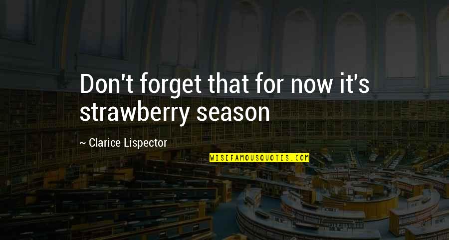 Somerset Community College Quotes By Clarice Lispector: Don't forget that for now it's strawberry season Somerset Community College Quotes By Clarice Lispector: Don't forget that for now it's strawberry season