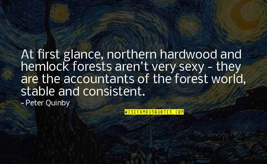 Somervilles Antiques Quotes By Peter Quinby: At first glance, northern hardwood and hemlock forests