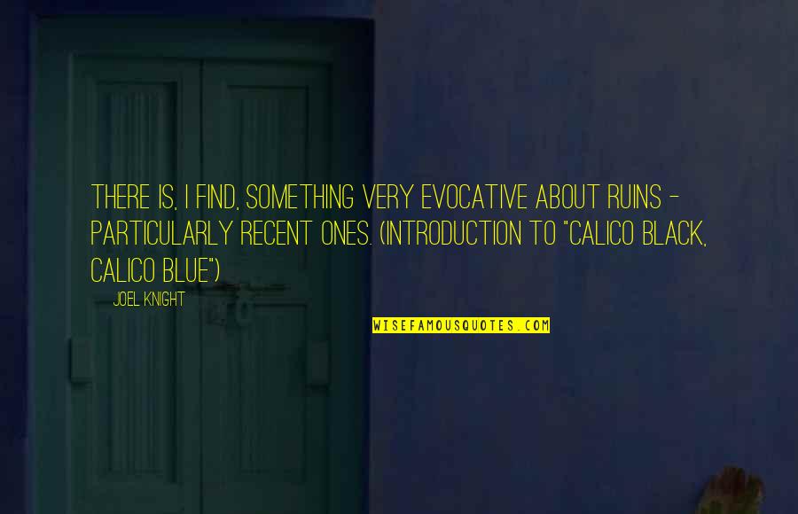 Something Blue Quotes By Joel Knight: There is, I find, something very evocative about
