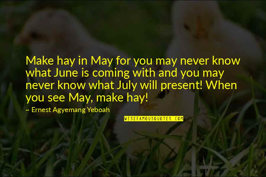 Something Coming Quotes By Ernest Agyemang Yeboah: Make hay in May for you may never