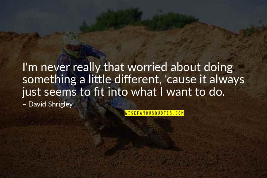 Something Different About You Quotes By David Shrigley: I'm never really that worried about doing something Something Different About You Quotes By David Shrigley: I'm never really that worried about doing something