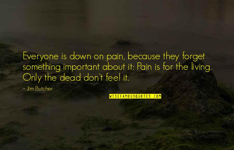 Something For Something Quotes By Jim Butcher: Everyone is down on pain, because they forget