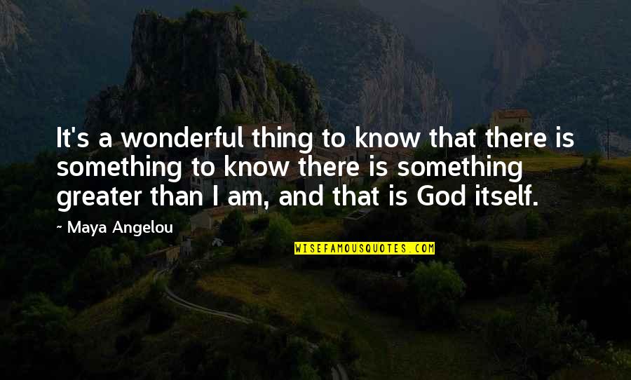Something Greater Quotes By Maya Angelou: It's a wonderful thing to know that there