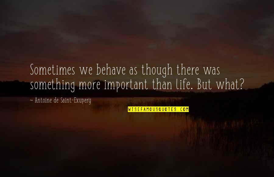 Something Important Quotes By Antoine De Saint-Exupery: Sometimes we behave as though there was something