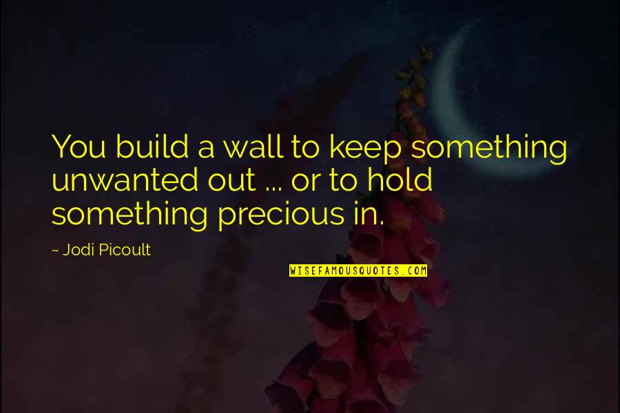 Something In Quotes By Jodi Picoult: You build a wall to keep something unwanted