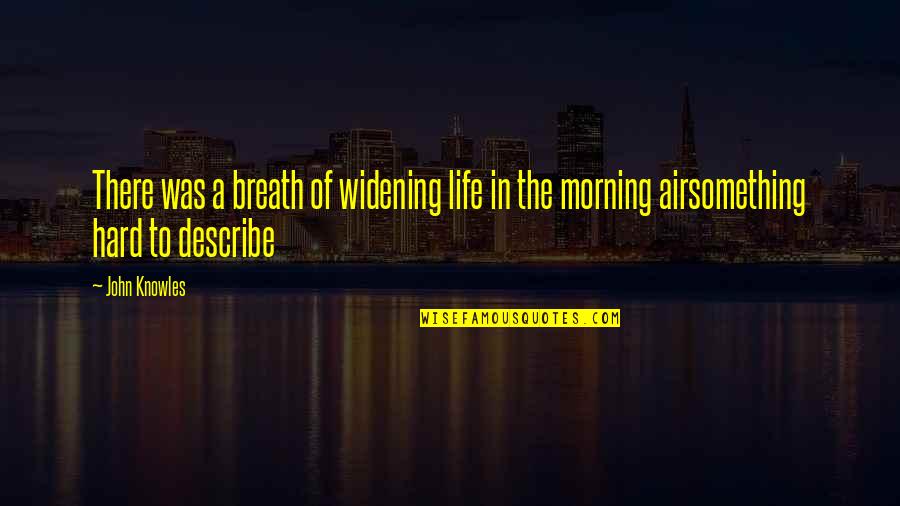 Something In The Air Quotes By John Knowles: There was a breath of widening life in