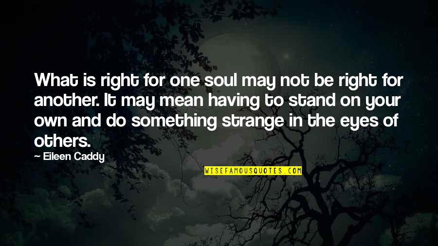 Something In Your Eyes Quotes By Eileen Caddy: What is right for one soul may not