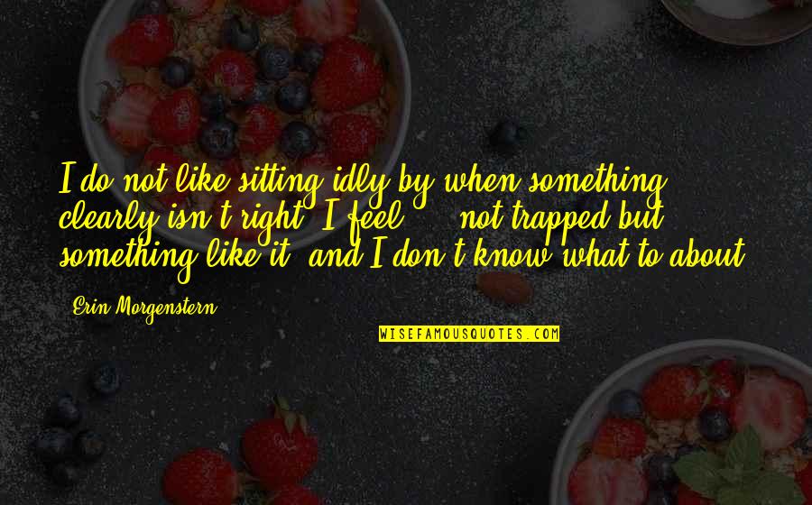 Something Isn't Right Quotes By Erin Morgenstern: I do not like sitting idly by when