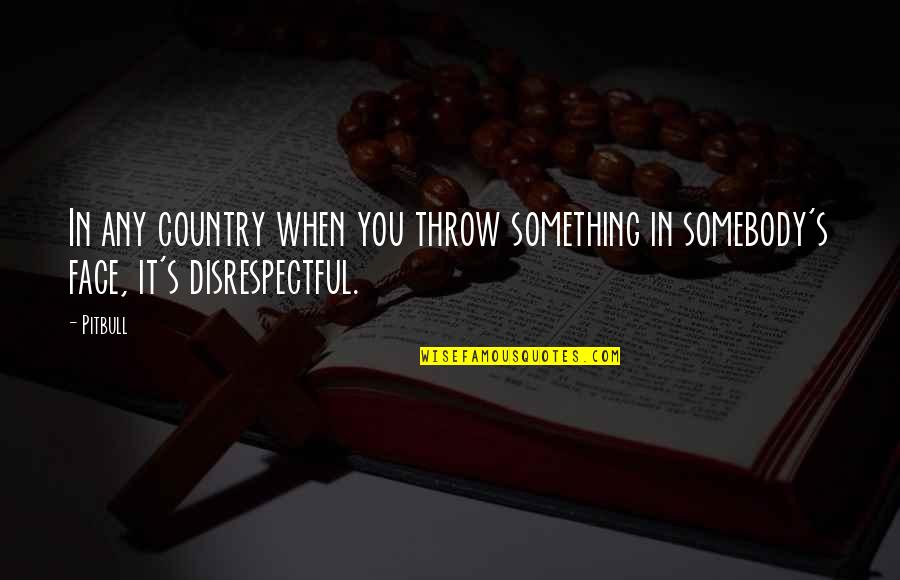 Something It Quotes By Pitbull: In any country when you throw something in