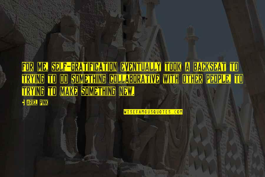 Something New Quotes By Ariel Pink: For me, self-gratification eventually took a backseat to