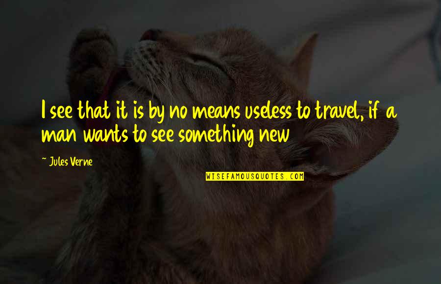 Something New Quotes By Jules Verne: I see that it is by no means