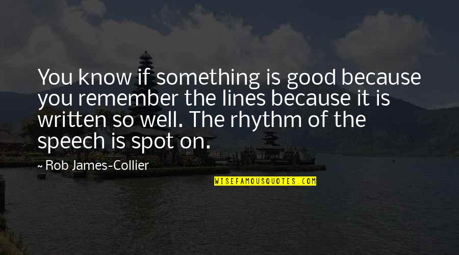 Something So Good Quotes By Rob James-Collier: You know if something is good because you