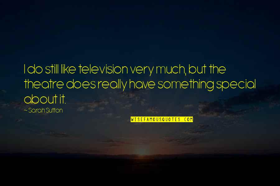 Something Special About You Quotes By Sarah Sutton: I do still like television very much, but