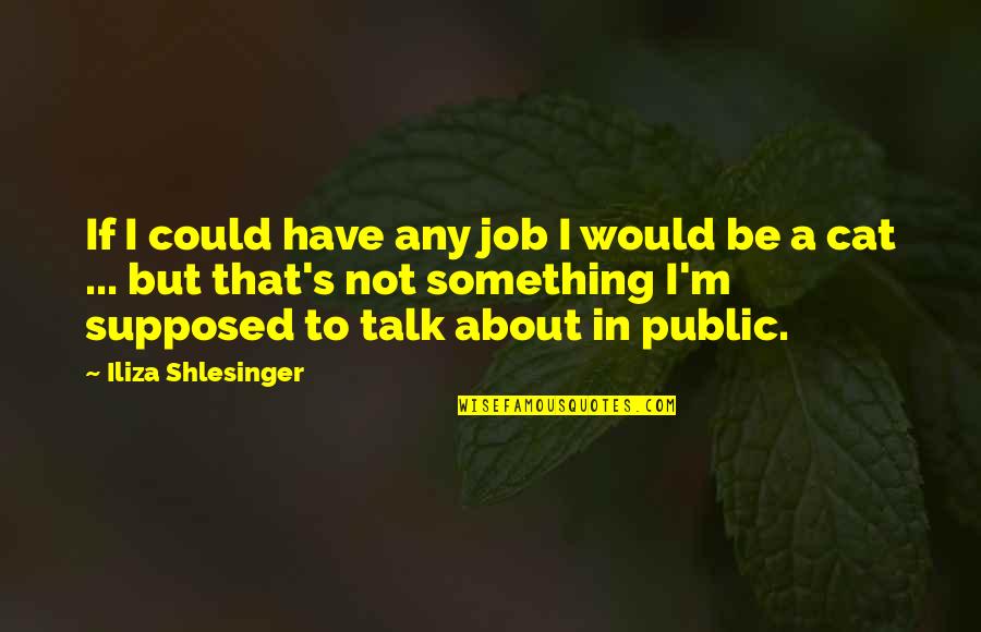 Something To Talk About Quotes By Iliza Shlesinger: If I could have any job I would