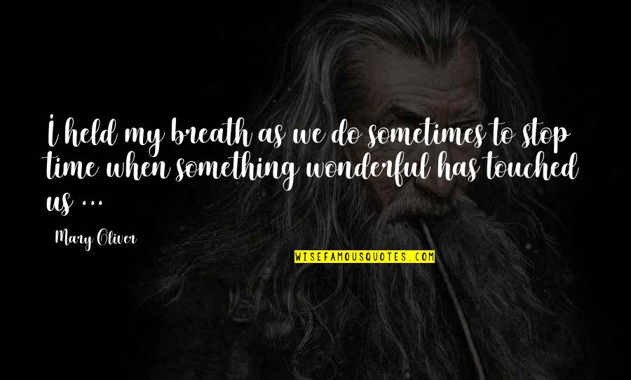 Something Wonderful Quotes By Mary Oliver: I held my breath as we do sometimes