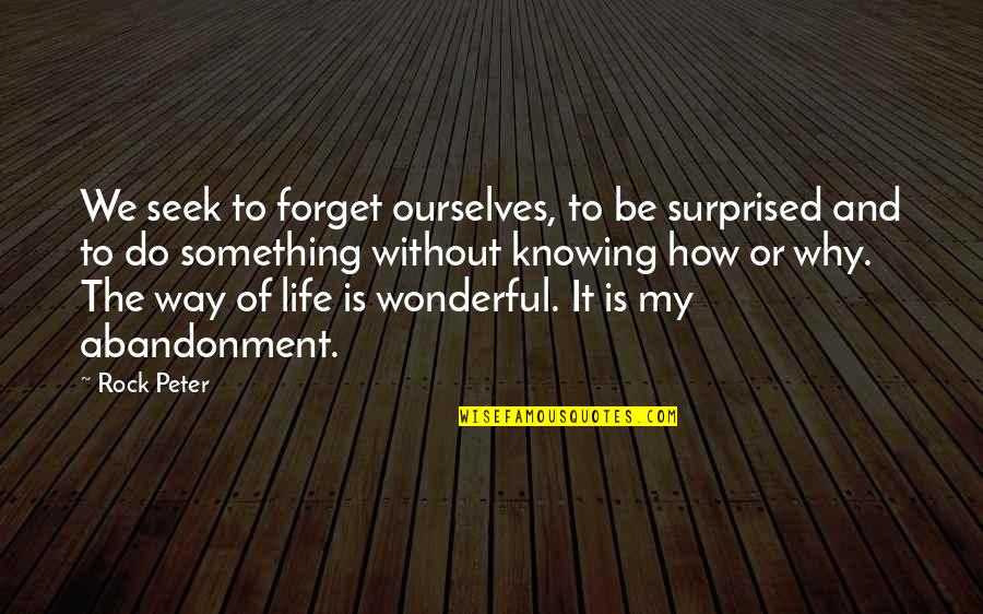 Something Wonderful Quotes By Rock Peter: We seek to forget ourselves, to be surprised