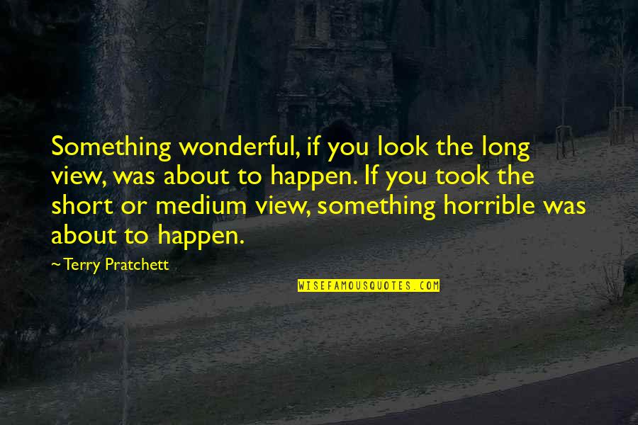 Something Wonderful Quotes By Terry Pratchett: Something wonderful, if you look the long view,