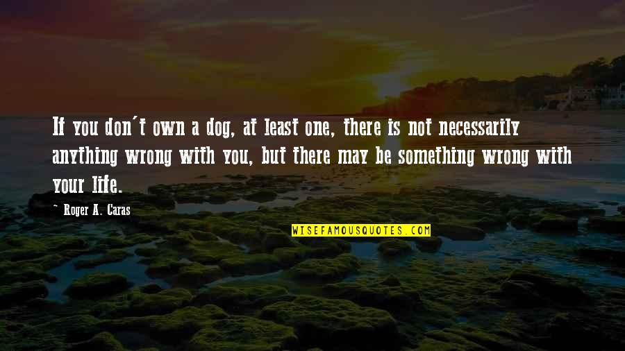 Something Wrong In Life Quotes By Roger A. Caras: If you don't own a dog, at least